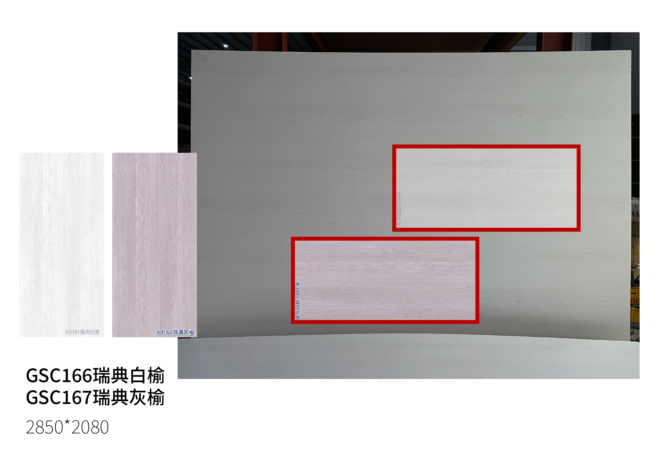 瑞典白榆／灰榆大板比例對照